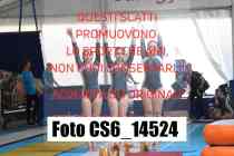 CS6_14524-