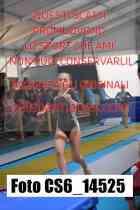 CS6_14525-