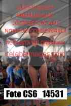 CS6_14531-