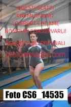 CS6_14535-