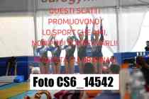 CS6_14542-
