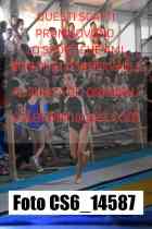 CS6_14587-
