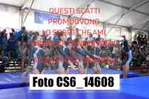 CS6_14608-