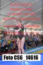 CS6_14616-