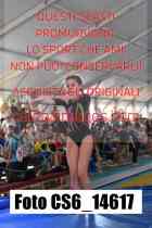 CS6_14617-