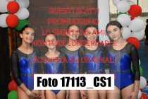 17113_CS1-