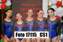 17115_CS1-