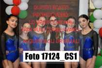 17124_CS1-