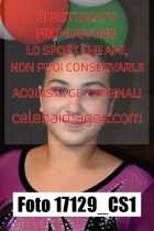 17129_CS1-
