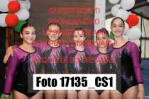 17135_CS1-