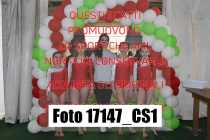 17147_CS1-