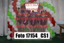 17154_CS1-