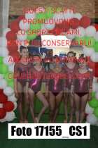 17155_CS1-