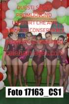 17163_CS1-