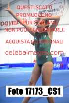 17173_CS1-