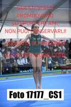 17177_CS1-