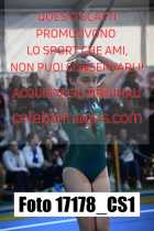 17178_CS1-