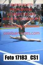 17183_CS1-