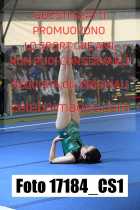 17184_CS1-