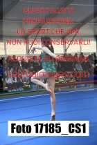 17185_CS1-