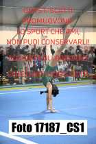 17187_CS1-