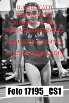 17195_CS1-