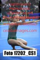 17202_CS1-