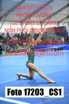 17203_CS1-