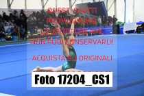 17204_CS1-