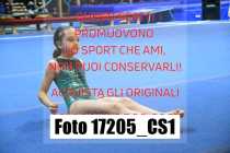 17205_CS1-
