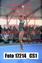 17214_CS1-