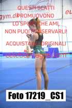 17219_CS1-