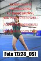 17223_CS1-