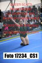 17234_CS1-