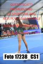 17238_CS1-