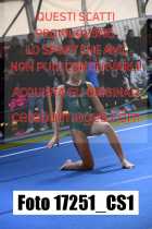 17251_CS1-