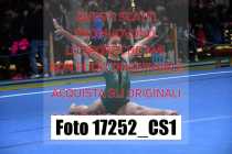 17252_CS1-