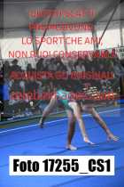 17255_CS1-