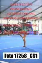 17258_CS1-