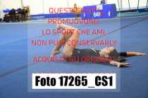 17265_CS1-