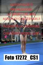 17272_CS1-