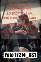 17274_CS1-