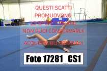 17281_CS1-