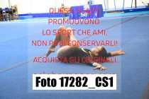 17282_CS1-
