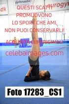 17283_CS1-