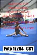 17284_CS1-