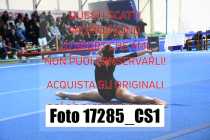 17285_CS1-