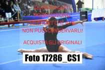 17286_CS1-