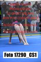 17290_CS1-