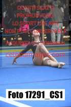 17291_CS1-